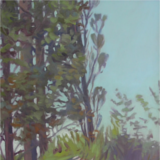 Oil on canvas 16inx20in Pointe Betsy Poplars